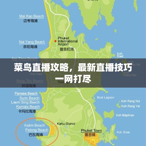 菜鸟直播攻略，最新直播技巧一网打尽
