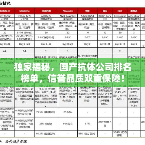 独家揭秘，国产抗体公司排名榜单，信誉品质双重保障！