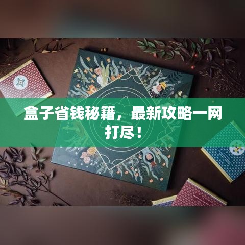 盒子省钱秘籍，最新攻略一网打尽！