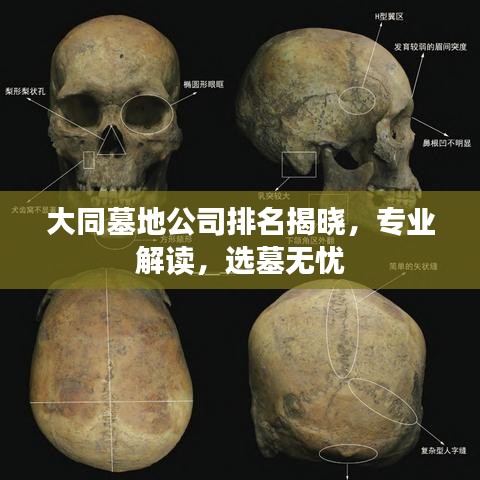 大同墓地公司排名揭晓，专业解读，选墓无忧