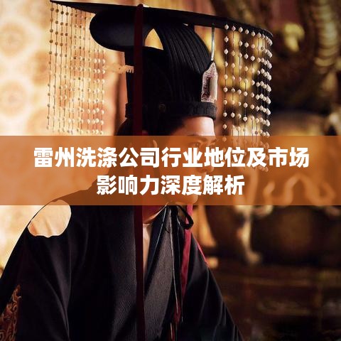雷州洗涤公司行业地位及市场影响力深度解析