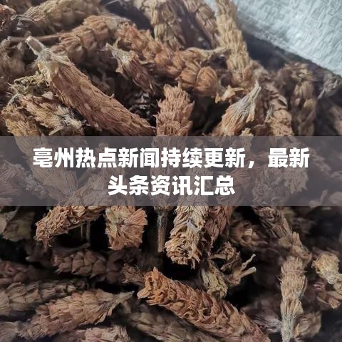 亳州热点新闻持续更新，最新头条资讯汇总