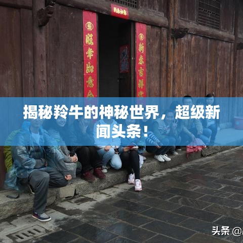 揭秘羚牛的神秘世界，超级新闻头条！