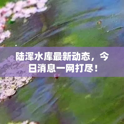 陆浑水库最新动态，今日消息一网打尽！