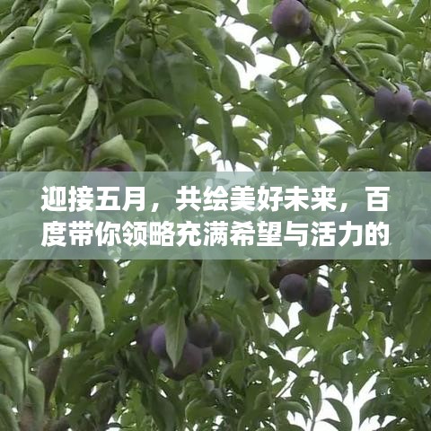 迎接五月，共绘美好未来，百度带你领略充满希望与活力的图片故事