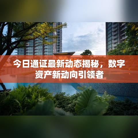 今日通证最新动态揭秘，数字资产新动向引领者