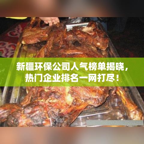 新疆环保公司人气榜单揭晓，热门企业排名一网打尽！