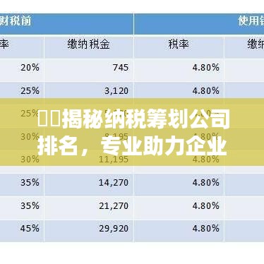 ​​揭秘纳税筹划公司排名，专业助力企业财税优化重要性！
