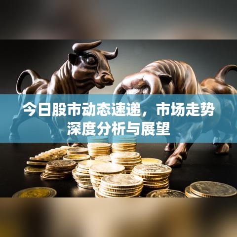 今日股市动态速递，市场走势深度分析与展望