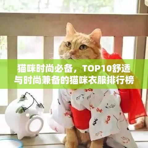 猫咪时尚必备，TOP10舒适与时尚兼备的猫咪衣服排行榜