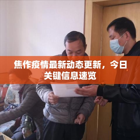 焦作疫情最新动态更新，今日关键信息速览