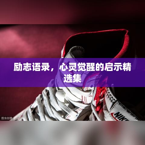 励志语录，心灵觉醒的启示精选集