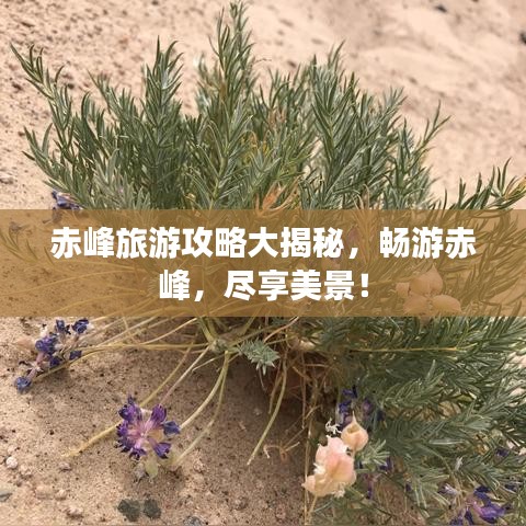 赤峰旅游攻略大揭秘，畅游赤峰，尽享美景！