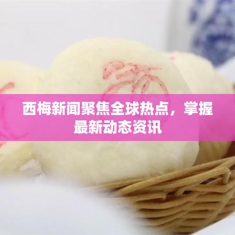 西梅新闻聚焦全球热点，掌握最新动态资讯