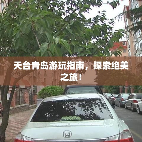 天台青岛游玩指南，探索绝美之旅！