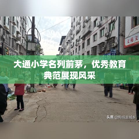 大通小学名列前茅，优秀教育典范展现风采