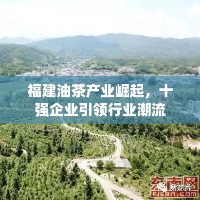 福建油茶产业崛起，十强企业引领行业潮流