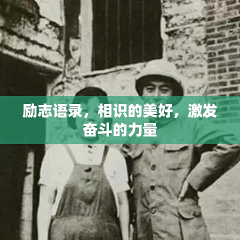 励志语录，相识的美好，激发奋斗的力量