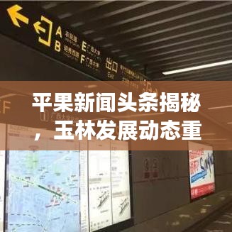 平果新闻头条揭秘，玉林发展动态重磅报道