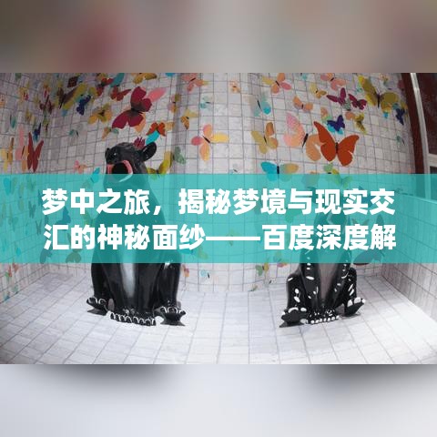 梦中之旅，揭秘梦境与现实交汇的神秘面纱——百度深度解析