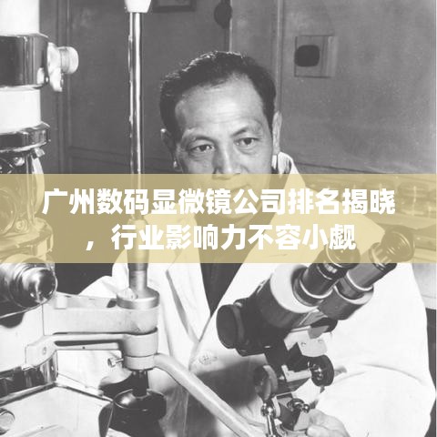 广州数码显微镜公司排名揭晓，行业影响力不容小觑
