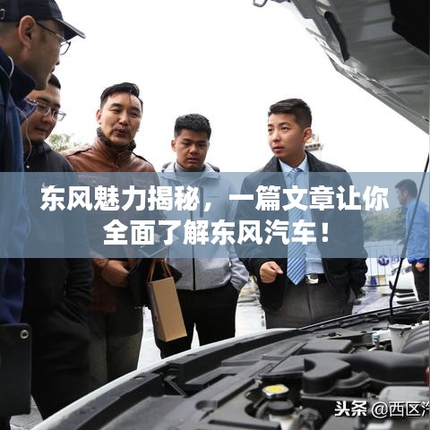 东风魅力揭秘，一篇文章让你全面了解东风汽车！