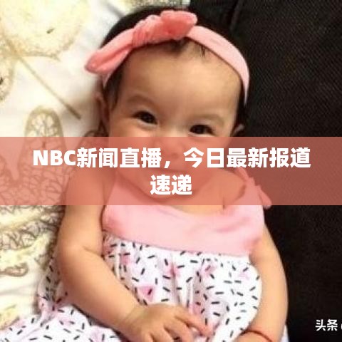 NBC新闻直播，今日最新报道速递