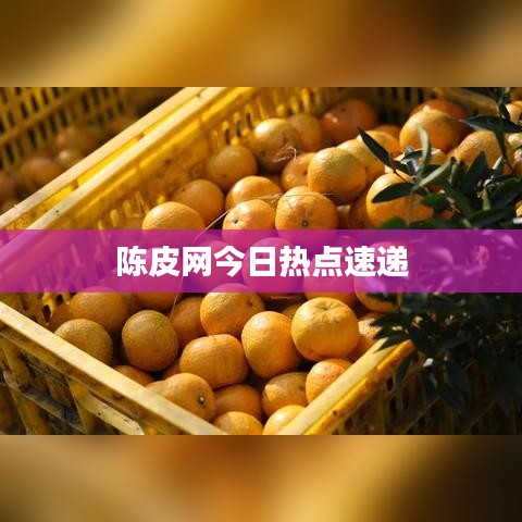 陈皮网今日热点速递