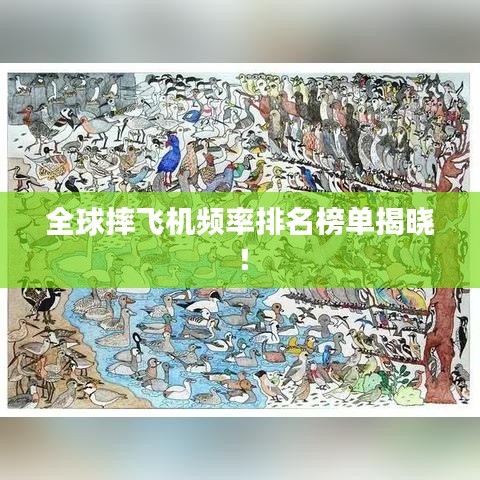 全球摔飞机频率排名榜单揭晓！
