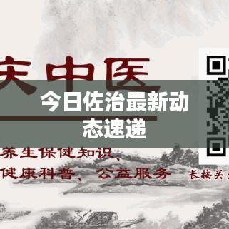 今日佐治最新动态速递