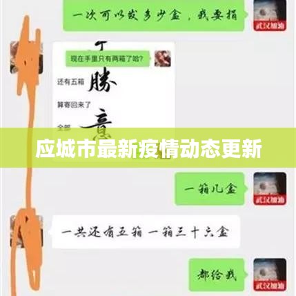 应城市最新疫情动态更新