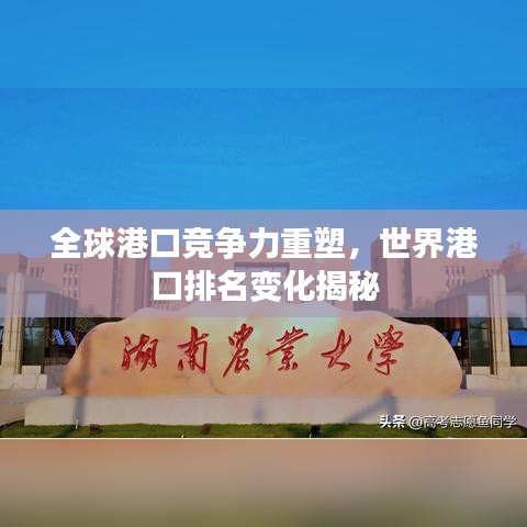 全球港口竞争力重塑，世界港口排名变化揭秘