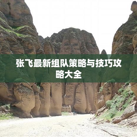 张飞最新组队策略与技巧攻略大全