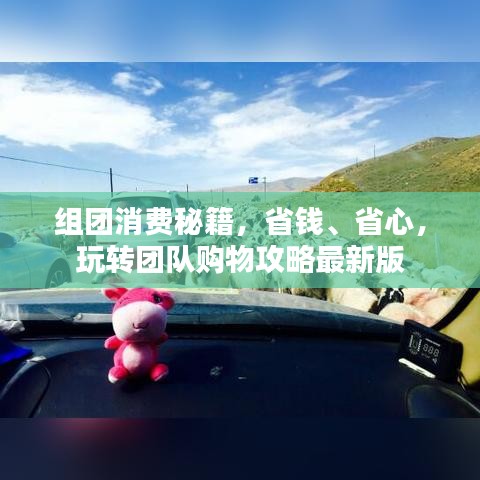 组团消费秘籍，省钱、省心，玩转团队购物攻略最新版