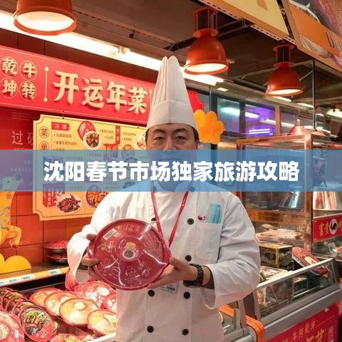 沈阳春节市场独家旅游攻略