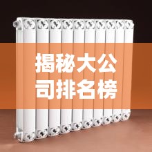 揭秘大公司排名榜获取攻略！