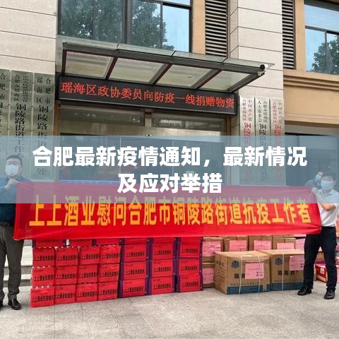 合肥最新疫情通知，最新情况及应对举措