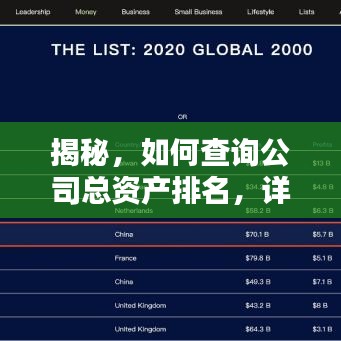 揭秘，如何查询公司总资产排名，详细步骤解析！