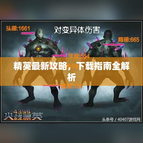 精英最新攻略，下载指南全解析