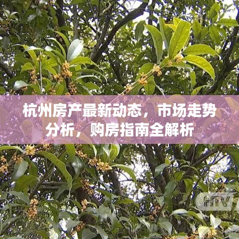 杭州房产最新动态，市场走势分析，购房指南全解析