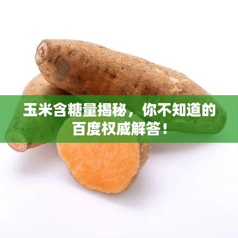 玉米含糖量揭秘，你不知道的百度权威解答！