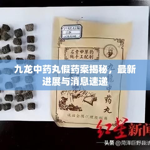九龙中药丸假药案揭秘，最新进展与消息速递