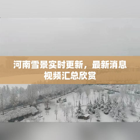 河南雪景实时更新，最新消息视频汇总欣赏