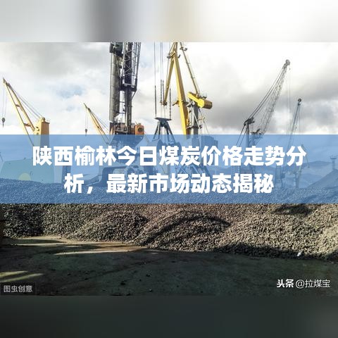 陕西榆林今日煤炭价格走势分析，最新市场动态揭秘