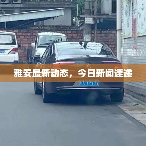 雅安最新动态，今日新闻速递