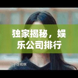 独家揭秘，娱乐公司排行榜，谁领风骚？