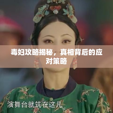 毒妇攻略揭秘，真相背后的应对策略