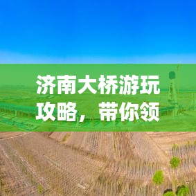 济南大桥游玩攻略，带你领略别样风光！