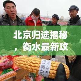 北京归途揭秘，衡水最新攻略全解析