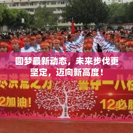 圆梦最新动态，未来步伐更坚定，迈向新高度！